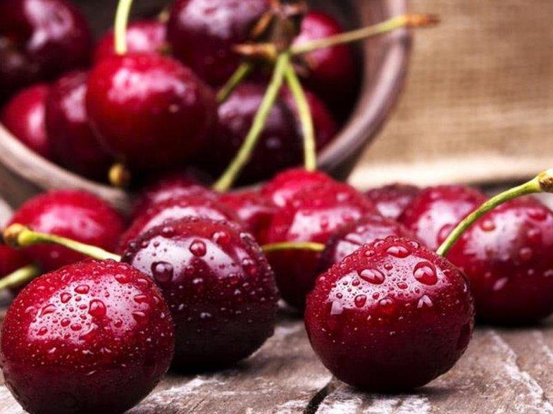 Вишня купить саженцы из питомника в Троицке
